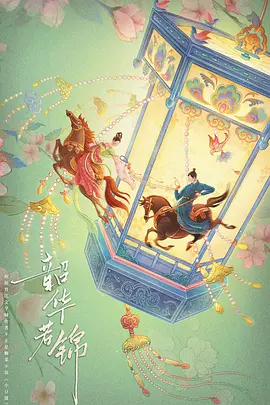 韶华若锦(2025)