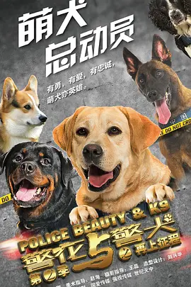 警花与警犬 第二季(2025)